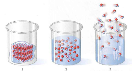 Water Particles Example Answer the following questions for the water samples A and B shown in ...