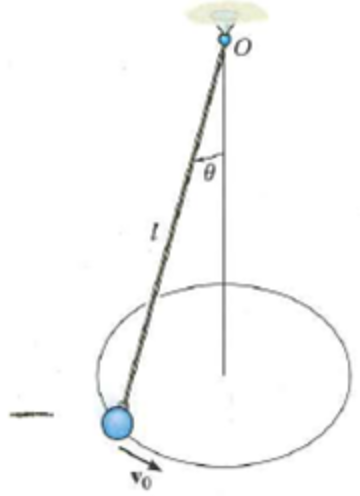 1613008837103096.png image.png
