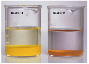 1618859872476096.png Beaker A Beaker B.png
