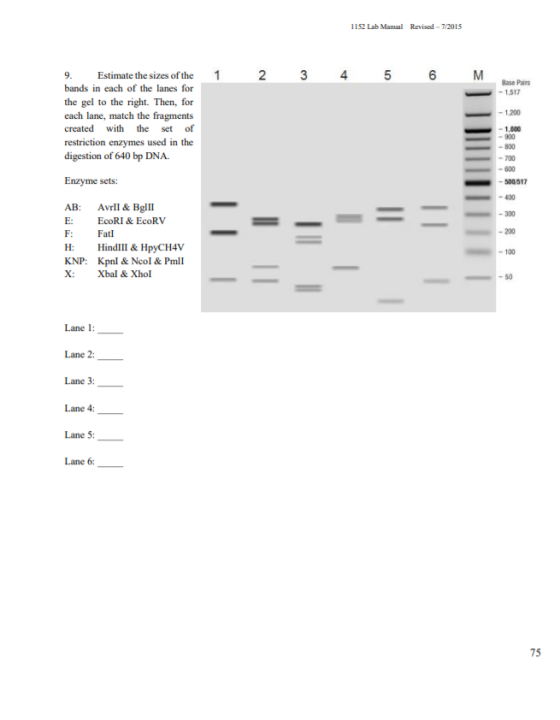 1619733308177133.png DNA lab page 4.png
