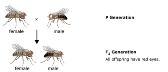 1619858677946352.png image.png