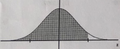 1631621112531642.png image.png