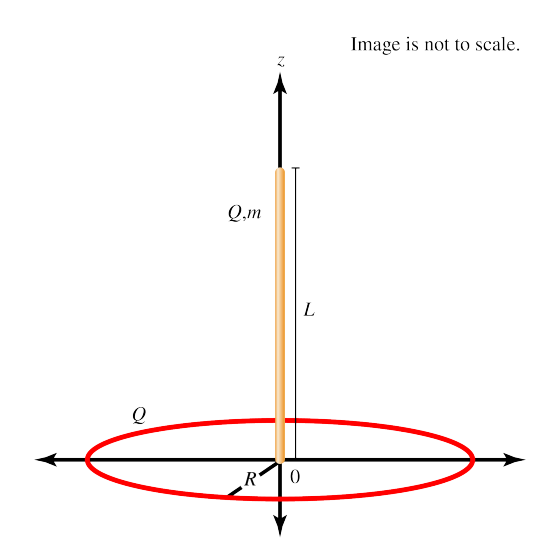 1632280535475161.png phys_7444_ring_qstem.png