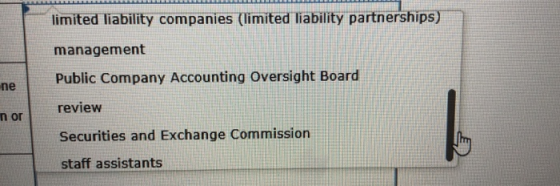 limited liability companies (limited liability partnerships) management Public Company Accounting Oversight Board review Securities and Exchange Commission staff assistants ne n or