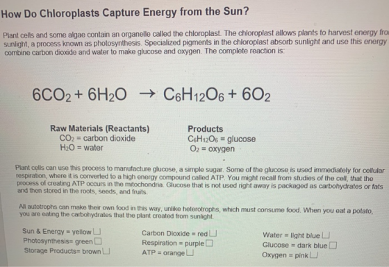 How Do Chloroplasts Capture Energy from the Sun? Plant cells and some algae contain an organelle called the chloroplast. The