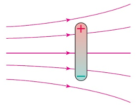 1640163660126110.png image.png
