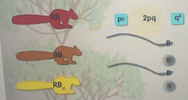 1640588844766407.png image.png