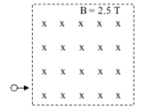 1640759270241174.png image.png