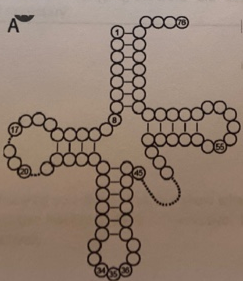 1640777934107087.png image.png