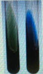 1641974009136339.png image.png