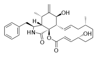 1645164511195691.png image.png