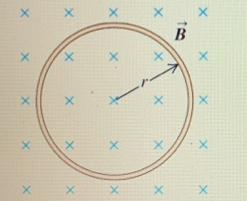 1646486846160026.png image.png