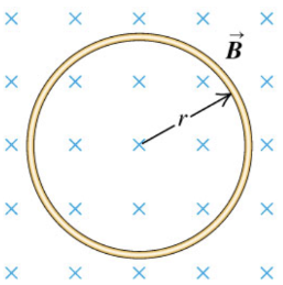 1646486945787761.png image.png