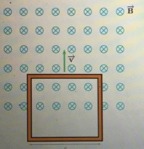 1646535261340429.png image.png