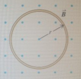 1646745057141052.png image.png