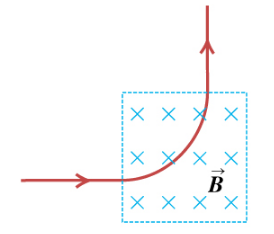 1647910562206699.png image.png