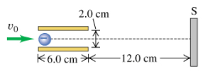 1649042568487449.png image.png