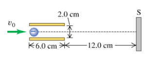 1649042736730727.png image.png