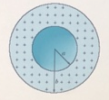 1649681892197200.png image.png