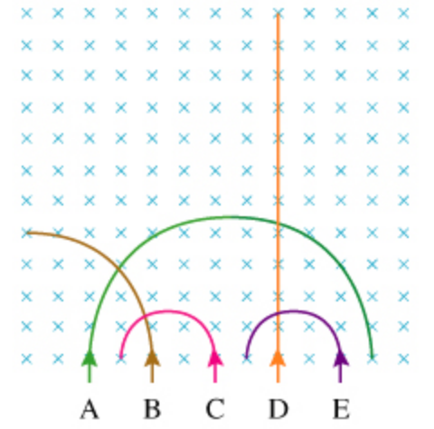 1651812914286786.png image.png